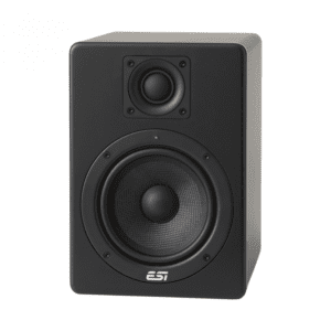 ESI aktiv 05 2-way Powered Studio Monitor (Single)