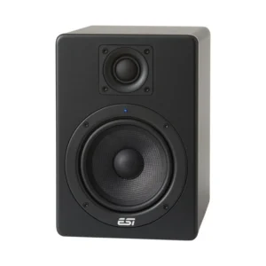 ESI aktiv 05 2-way Powered Studio Monitor (Single)