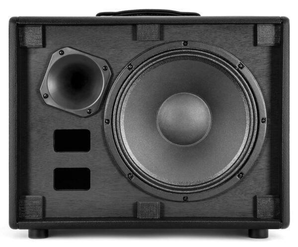TONEX CAB amp