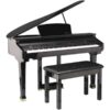 Artesia DG-26 Baby Grand Digital Piano