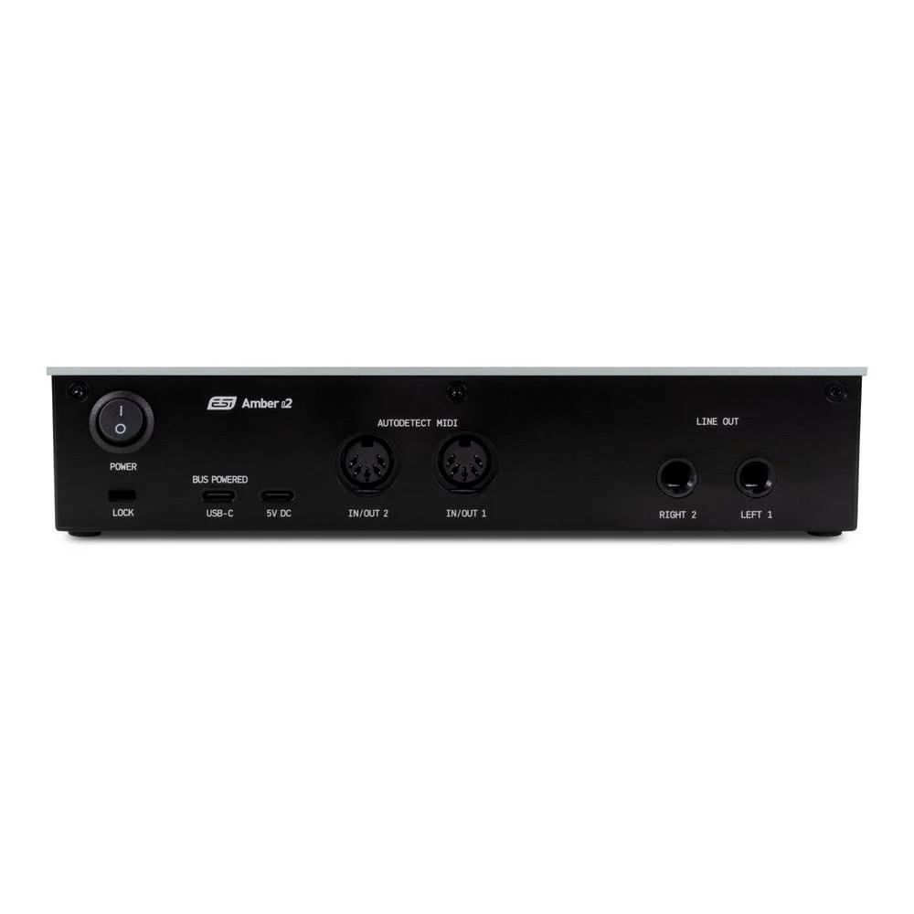ESI Amber i2 2-in / 2-out Professional 24-bit / 192kHz USB-C Audio Interface - Image 4